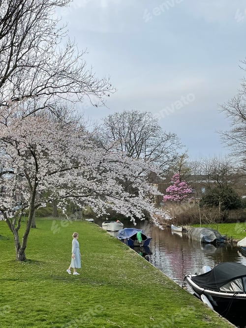 Preview: A young woman stands under a flowering tree by the canal