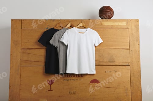 Preview: Blank t-shirts presentation