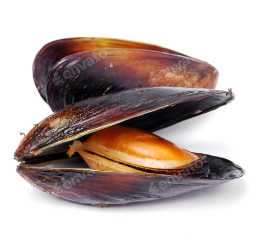 Preview: Delicious mussels