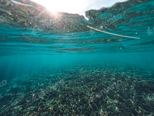 Preview: Underwater at the beach on the island