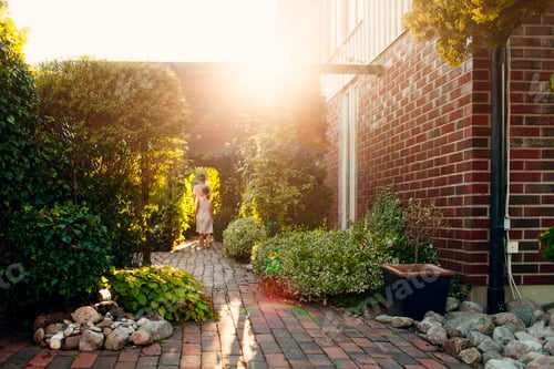 Preview: Rear view of brother and sister walking in backyard