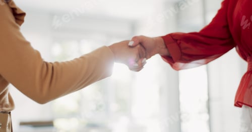 Preview: Partnership, thank you and handshake from business women happy with investment deal, negotiation or