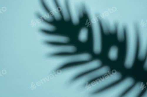 Preview: Abstract Shadow of a Tropical Leaf on a Light Blue Background in Soft Focus