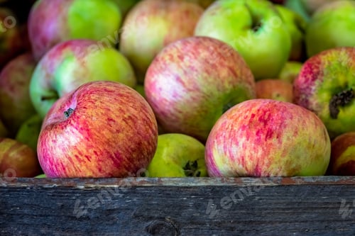 Preview: Fresh red and green apples for sale