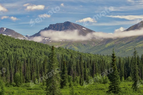 Preview: Blue skies Low clouds surround mountain surrounded by forests of evergreen trees in Alaska
