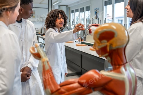 Preview: Medical students studying human anatomy in university lab