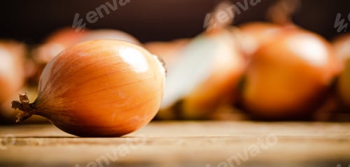Preview: Fresh onions on table .