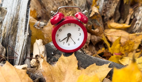 Preview: alarm clock on autumn leaves natural background