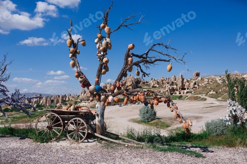 Preview: beautiful Cappadocia tree hung with ceramic dishes