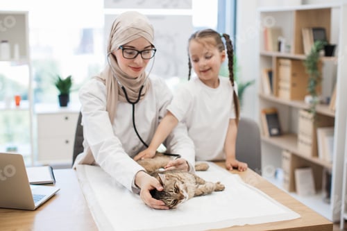 Preview: Woman in hijab observing cat while girl distracting animal