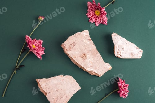 Preview: Pink chrysanthemum flowers with stone pieces on green background. Mockup for cosmetics