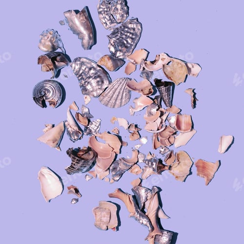 Preview: Broken shells background Minimal art design
