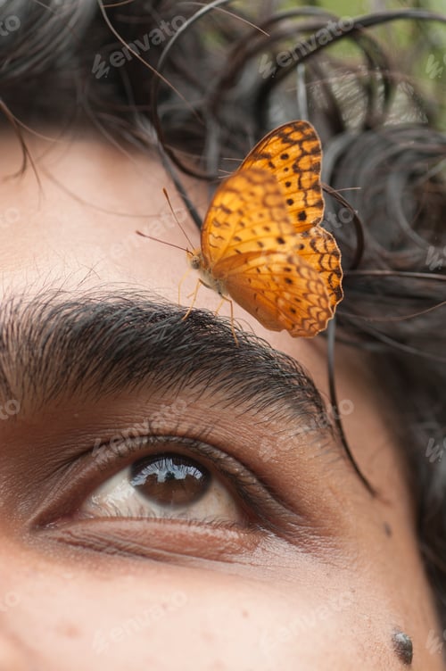 Preview: Butterfly sitting on a young man’s face, Symbiosis of man and nature.
