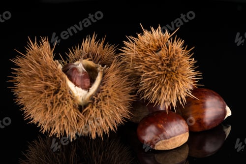 Preview: Chestnuts on a black reflective background