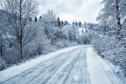 Preview: Road is among the snow-covered trees in the mountains