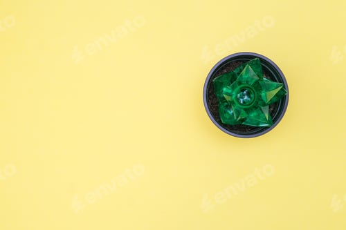 Preview: Ecology concept. Succulent similar plastic flower above.