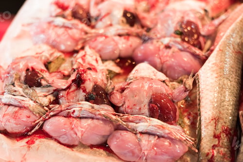 Preview: Meat Of Frog At The Traditional Market, Bangkok, Thailand