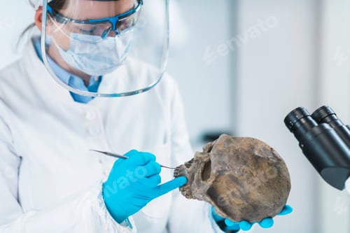 Preview: Ancient DNA Scientist Working in Bio Archaeology Lab