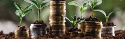 Preview: panoramic shot of silver and golden coins with green leaves and soil, financial growth concept