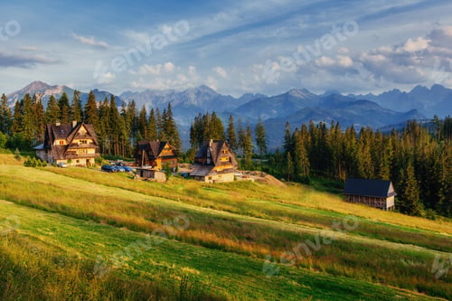 Preview: Traditional wooden house in the mountains on a green field Mount