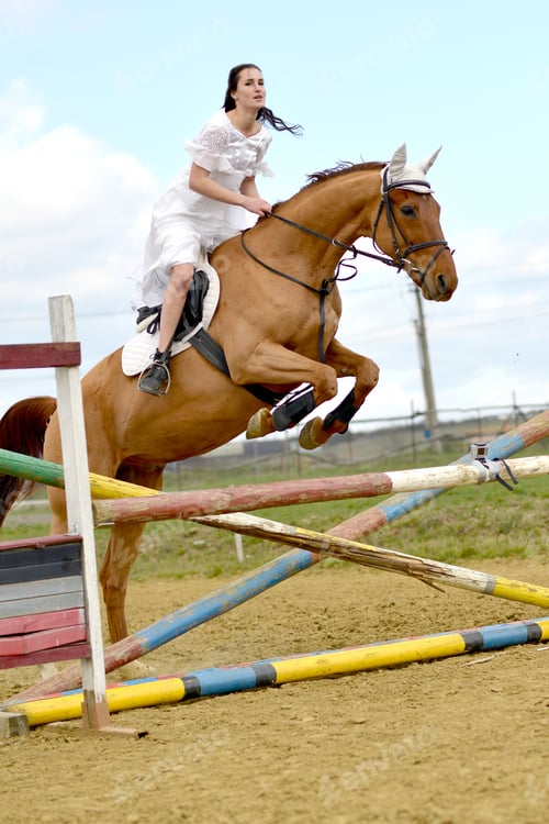 Preview: Show Jumping