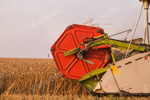 Preview: Harvester in wheat field