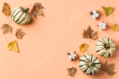 Preview: Autumn fall thanksgiving day composition with decorative pumpkins