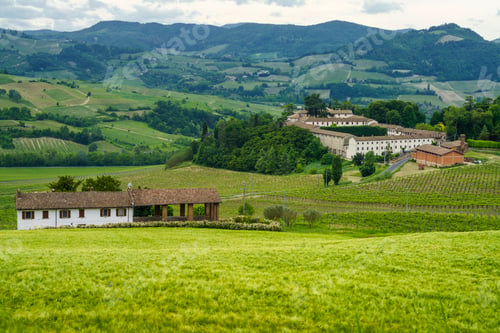 Preview: Vineyards in Oltrepo Pavese, italy, at springtime