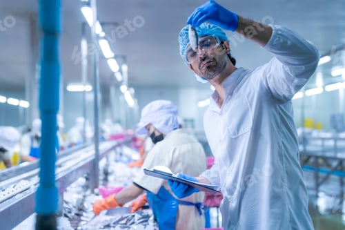 Preview: Workers in a food processing plant wearing protective gear, sorting fish on a conveyor