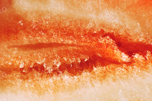 Preview: strawberry cut in half. strawberry core. background of half a strawberry