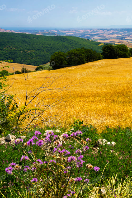 Preview: Landscape in Campobasso province, Molise, Italy