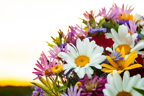 Preview: Bouquet from a camomile and other flowers