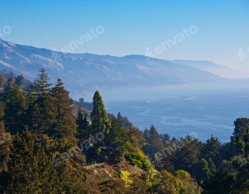 Preview: Treed Hillside Near the Ocean