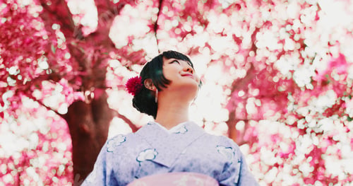 Preview: Sakura, park and face of woman with kimono, thinking or outdoor sightseeing in nature with low angl