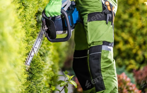 Preview: Professional Gardener with Hedge Trimmer Doing His Job in the Garden