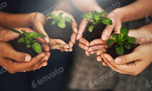 Preview: Cropped shot of a group of people holding plants growing out of soil