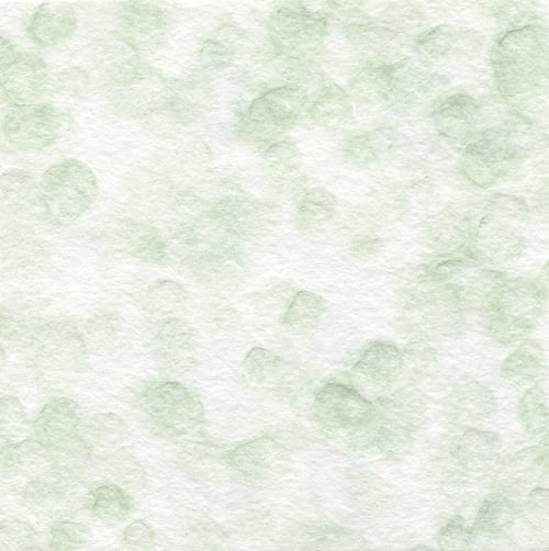 Preview: Closeup of flat light green mottled paper texture with soft watercolor effect and fibrous surface