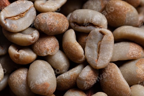 Preview: Close-Up of Unroasted Coffee Beans, Brown and White
