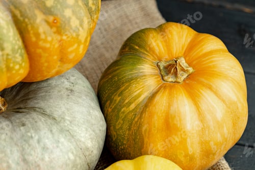 Preview: Assortment of different pumpkins on dark wooden background
