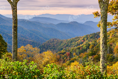 Preview: Smoky Mountains National Park