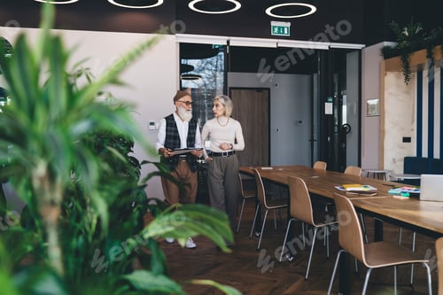 Preview: Team of elderly colleagues walking and discussing business in office