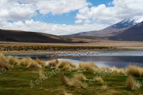 Preview: Laguna Verde and Flamingos. Bolivia. Blue Sky with Clouds.