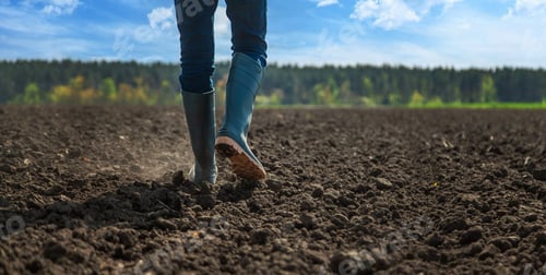 Preview: Male farmer in the field checks the soil. Selective focus.