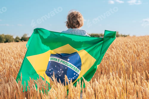 Preview: Brazilian Little Kid - Football Fan, Child Patriot With National Flag On Sky