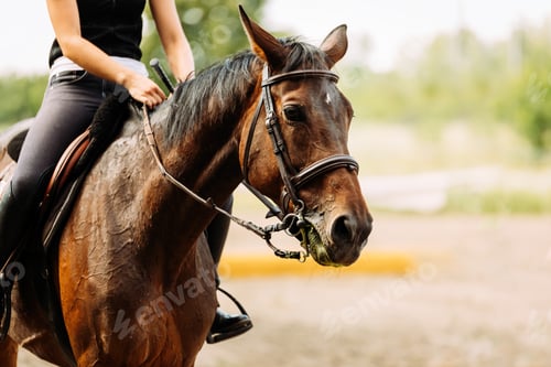 Preview: Picture of young pretty girl riding horse