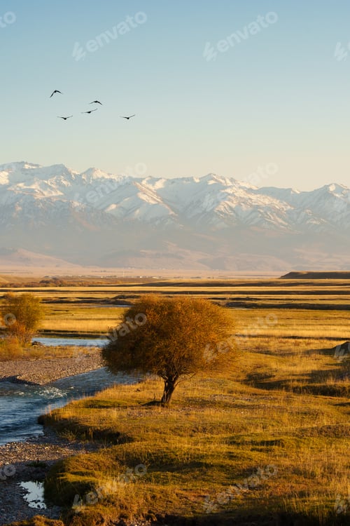Preview: Golden autumn trees with river flowing and snowy Tien Shan mountain under clear blue sky