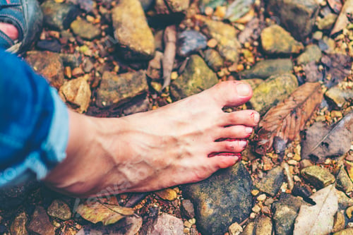Preview: Blood flowing to the feet, From being bitten by leeches attack, Blood Sucking Leech