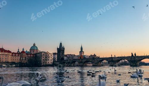 Preview: Sunset over the Vltava River featuring swans and the iconic Charles Bridge in Prague