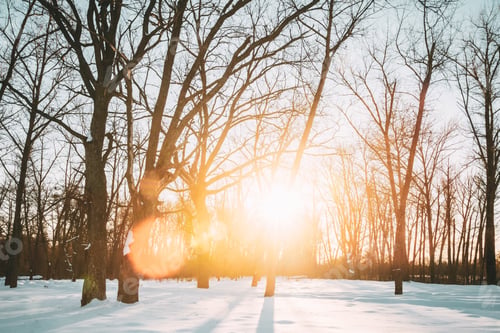 Preview: Beautiful Sunset Sunrise Sun Sunshine In Sunny Winter Snowy Fore