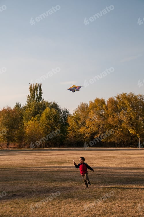 Preview: Joyful Child Flies Kite in Open Grassy Field